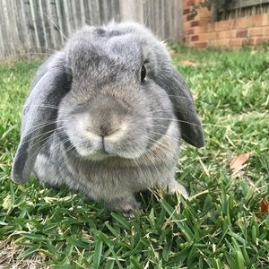 Meet your Posher, Nora